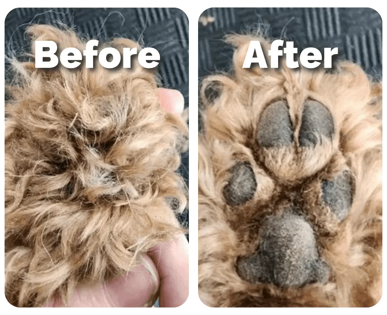 FurryPro® Paw Trimmer