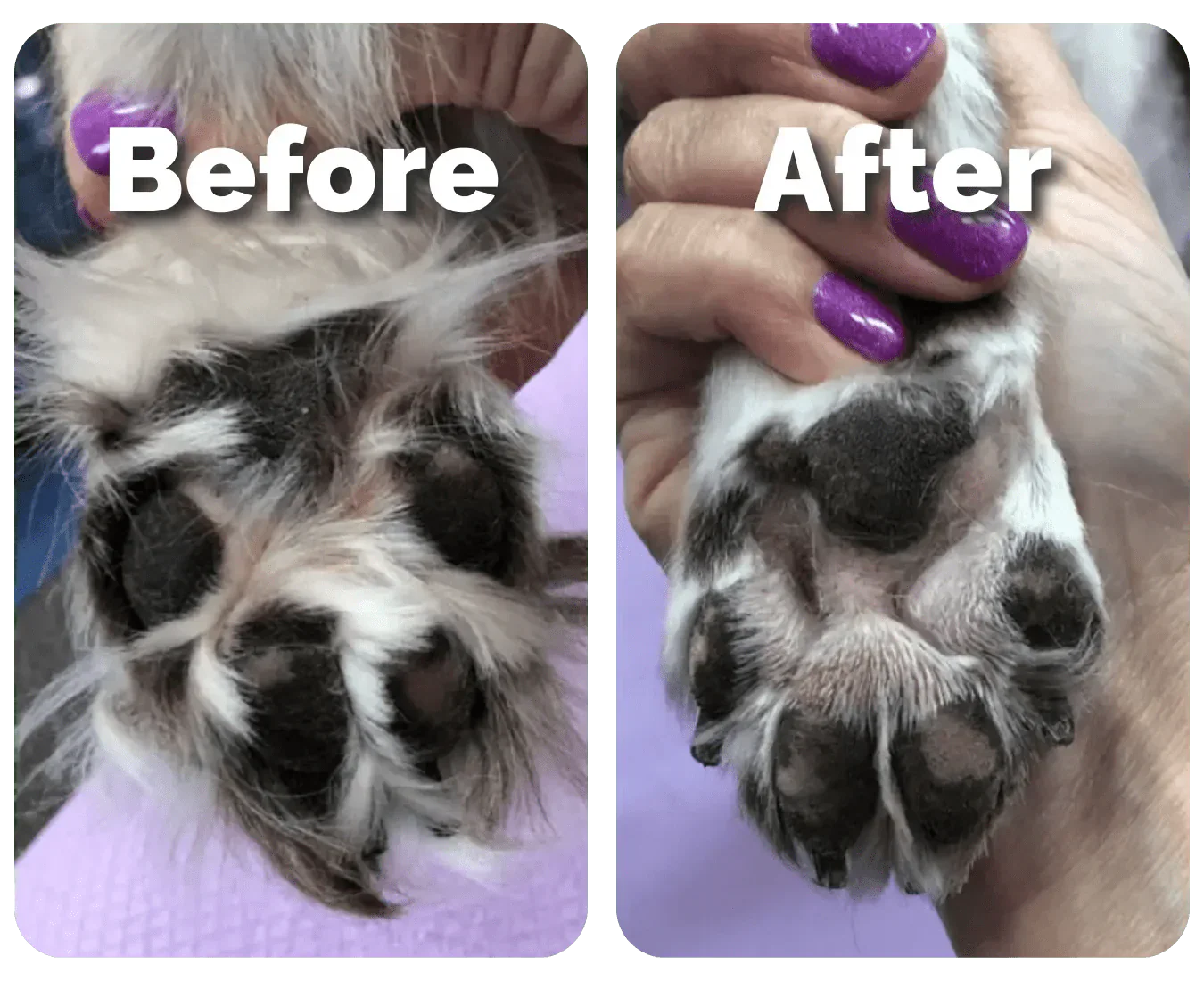 FurryPro® Paw Trimmer